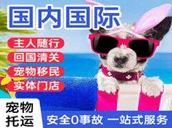 柳州航空邮寄国际宠物托运 【国